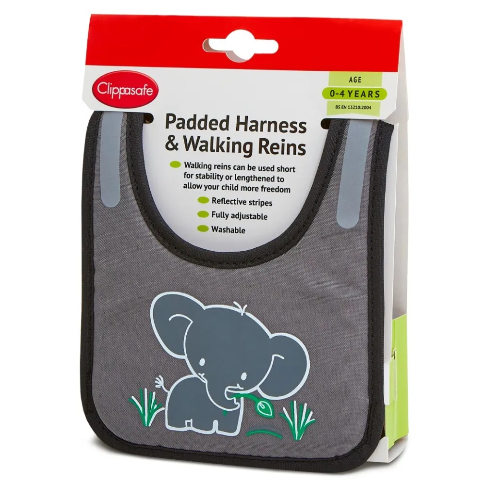 Padded Walking Harness and Reins