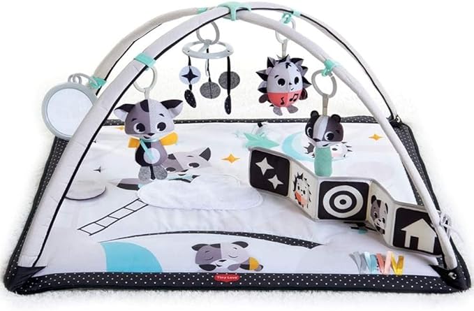 Gymini Magical Tales 2-in-1 Musical Baby Play Mat